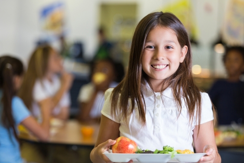 Du bio local dans nos institutions : apprendre des modèles danois et américain