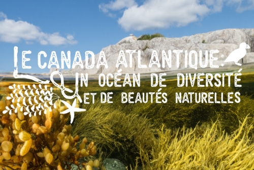 Le Canada atlantique : un océan de diversité et de beautés naturelles