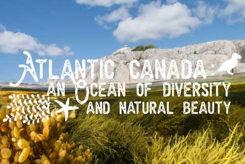 Atlantic Canada: An Ocean of Diversity and Natural Beauty by Nick Hawkins